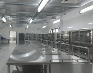 Hoàn thành khu soạn chia bếp ăn bán trú