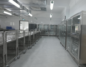 Bố trí phân luồn hiệu quả